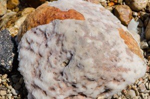 Stein mit Salzkruste